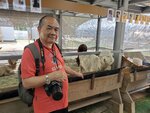 22072024_Samsung Smartphone Galaxy S10 Plus_27th round to Hokkaido_Biei_Shikisai no Oka_Alpaca Maki00022