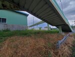 22072024_Samsung Smartphone Galaxy S10 Plus_27th round to Hokkaido_Furano Morning00012