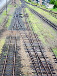 22072024_Samsung Smartphone Galaxy S10 Plus_27th round to Hokkaido_Furano Morning00015