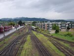 22072024_Samsung Smartphone Galaxy S10 Plus_27th round to Hokkaido_Furano Morning00021