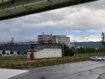 22072024_Samsung Smartphone Galaxy S10 Plus_27th round to Hokkaido_Furano Morning00024