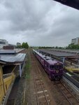 22072024_Samsung Smartphone Galaxy S10 Plus_27th round to Hokkaido_Furano Morning00053