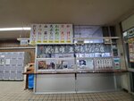 22072024_Samsung Smartphone Galaxy S10 Plus_27th round to Hokkaido_Furano Morning00061