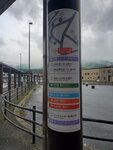 22072024_Samsung Smartphone Galaxy S10 Plus_27th round to Hokkaido_Furano Morning00068
