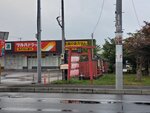 22072024_Samsung Smartphone Galaxy S10 Plus_27th round to Hokkaido_Furano Morning00074