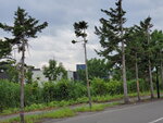 23072024_Samsung Smartphone Galaxy S10 Plus_27th round to Hokkaido_Gateaux Kingdom Hotel Morning00018