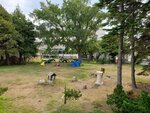 23072024_Samsung Smartphone Galaxy S10 Plus_27th round to Hokkaido_Gateaux Kingdom Hotel Morning00024