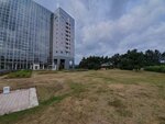 23072024_Samsung Smartphone Galaxy S10 Plus_27th round to Hokkaido_Gateaux Kingdom Hotel Morning00030