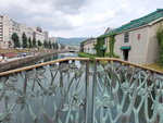 23072024_Samsung Smartphone Galaxy S10 Plus_27th round to Hokkaido_Otaru Unga00006