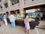 24072024_Samsung Smartphone Galaxy S10 Plus_27th round to Hokkaido_Breakfast at Hotel Gateaux Kingdom00015