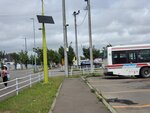 24072024_Samsung Smartphone Galaxy S10 Plus_27th round to Hokkaido_Kita Hiroshima Mitsui Outlet Park00020