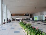 24072024_Samsung Smartphone Galaxy S10 Plus_27th round to Hokkaido_New Chitose Airport00001
