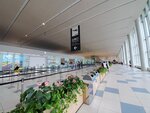 24072024_Samsung Smartphone Galaxy S10 Plus_27th round to Hokkaido_New Chitose Airport00004
