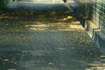 29092024_Sunny Bay00012