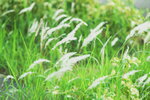 29092024_Sunny Bay00013
