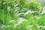 29092024_Sunny Bay00014