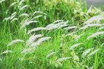 29092024_Sunny Bay00015