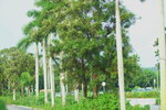 29092024_Sunny Bay00016