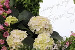 15032024_Canon EOS 5Ds_Hong Kong Flower Show_Variety Flowers00017