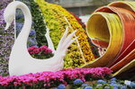 15032024_Canon EOS 5Ds_Hong Kong Flower Show_Venue_Victoria Park00003