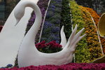 15032024_Canon EOS 5Ds_Hong Kong Flower Show_Venue_Victoria Park00004