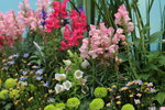 15032024_Canon EOS 5Ds_Hong Kong Flower Show_Venue_Victoria Park00009