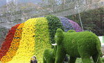 15032024_Canon EOS 5Ds_Hong Kong Flower Show_Venue_Victoria Park00017