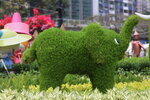 15032024_Canon EOS 5Ds_Hong Kong Flower Show_Venue_Victoria Park00019