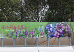 15032024_Canon EOS 5Ds_Hong Kong Flower Show_Venue_Victoria Park00023