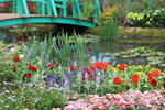 15032024_Canon EOS 5Ds_Hong Kong Flower Show_Venue_Victoria Park00102