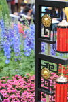 15032024_Canon EOS 5Ds_Hong Kong Flower Show_Venue_Victoria Park00105