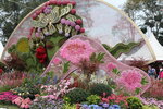 15032024_Canon EOS 5Ds_Hong Kong Flower Show_Venue_Victoria Park00113