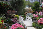 15032024_Canon EOS 5Ds_Hong Kong Flower Show_Venue_Victoria Park00176