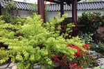 15032024_Canon EOS 5Ds_Hong Kong Flower Show_Venue_Victoria Park00177