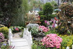 15032024_Canon EOS 5Ds_Hong Kong Flower Show_Venue_Victoria Park00178