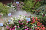 15032024_Canon EOS 5Ds_Hong Kong Flower Show_Venue_Victoria Park00184