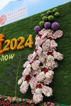 15032024_Canon EOS 5Ds_Hong Kong Flower Show_Venue_Victoria Park00199