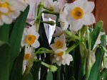 01022025_Chinese New Year Home Flower00049
