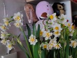 04022025_Chinese New Year Home Flower00081