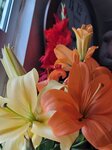 04022025_Chinese New Year Home Flower00085