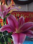 04022025_Chinese New Year Home Flower00086