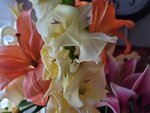 04022025_Chinese New Year Home Flower00090