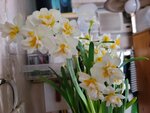 05022025_Chinese New Year Home Flower00093