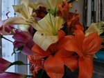 05022025_Chinese New Year Home Flower00099