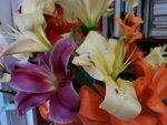 05022025_Chinese New Year Home Flower00100