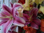 05022025_Chinese New Year Home Flower00101