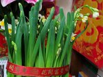 30012025_Chinese New Year_Home Flower00031