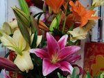 30012025_Chinese New Year_Home Flower00032