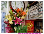30012025_Chinese New Year_Home Flower00033