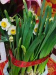 30012025_Chinese New Year_Home Flower00035